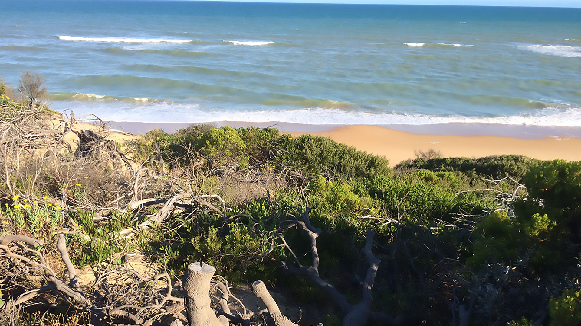 Our Beach Lookout